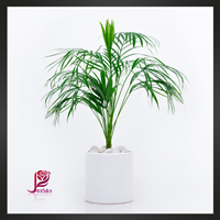 اریکا